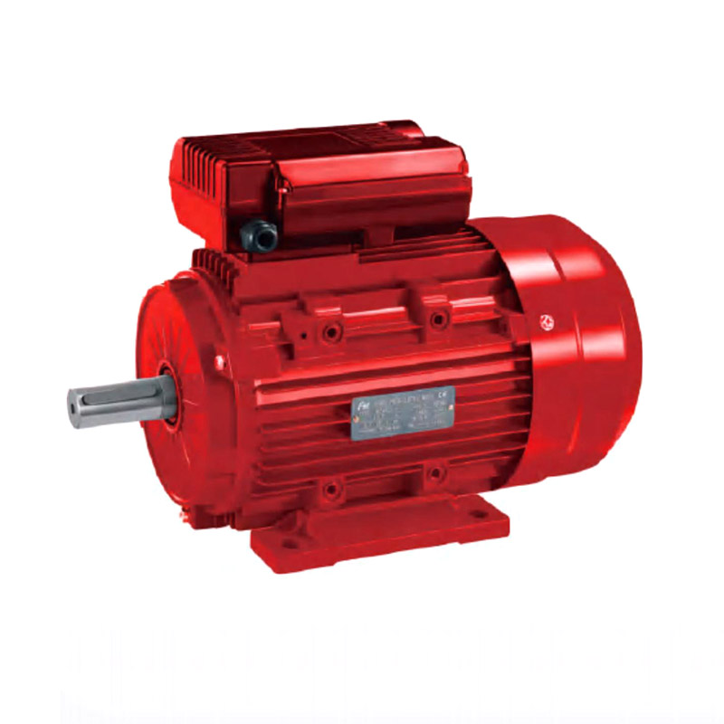 Moteur à induction à condensateur à deux valeurs YL